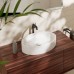 Hansgrohe Xuniva D Раковина-чаша 55х40см., без отв., накладная, без перелива, цвет: белый. 60165450