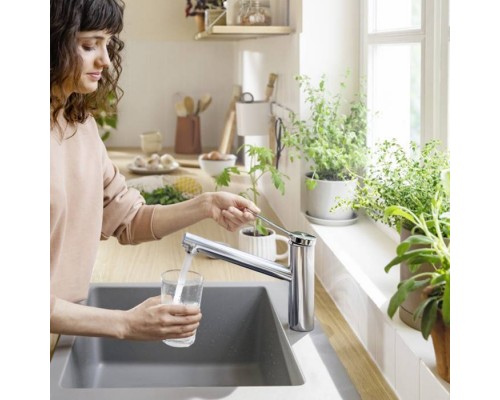Hansgrohe Zesis M33 Смеситель для кухни, 1 отв., цвет: хром. 74802000 Hansgrohe Zesis M33 Смеситель для кухни, 1 отв., цвет: хром. 74802000