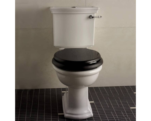 DevonDevon New Etoile Унитаз моноблок 38x64.5см, фурнитура, цвет: золото. IBWCNET,  IBCZNET,  IBLEVADX/OT,  IBBATT-CM/NEWETOILE