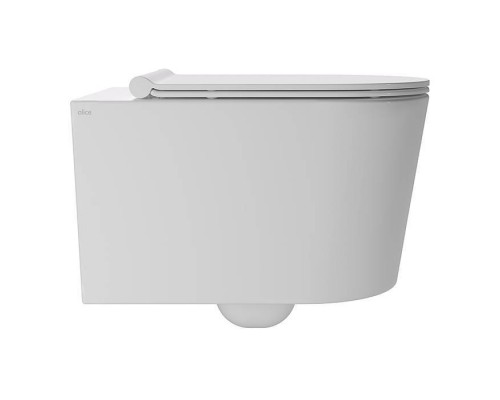Alice Form Унитаз 50х35см., подвесной, безободковый, с сиденьем и крышкой с микролифтом, с набором для крепления, цвет: белый глянцевый. 22300101SET