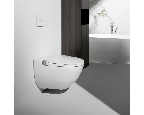 Laufen Cleanet Riva Унитаз-биде подвесной 60х39.5х40.5см, безободковый, пульт управления, с сиденьем, покрытие LCC, цвет: белый. 8.2069.1.400.000.1