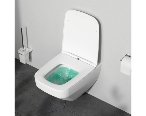 C50A1700MWSC Унитаз подвесной FlashClean с сиденьем микролифт, матовый C50A1700MWSC Унитаз подвесной FlashClean с сиденьем микролифт, матовый
