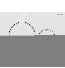 Geberit Sigma20 Клавиша для двойного смыва, круглая, цвет: белый/хром. 115.882.KJ.1