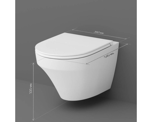C501700WH Унитаз подвесной безободковый FlashClean, без сиденья C501700WH Унитаз подвесной безободковый FlashClean, без сиденья