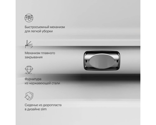 C50A1700MWSC Унитаз подвесной FlashClean с сиденьем микролифт, матовый C50A1700MWSC Унитаз подвесной FlashClean с сиденьем микролифт, матовый