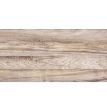 Плитка настенная Alma Ceramica Dublin TWU09DBL404 глянцевая 24,9x50 коричневая