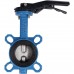 Затвор поворотно-дисковый Tecofi VPI4449 DN 65 PN 16 EP из чугуна (VPI4449-02EP0065)
