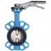 Затвор поворотно-дисковый Tecofi VPI4449 DN 80 PN 16 EP из чугуна (VPI4449-02EP0080)