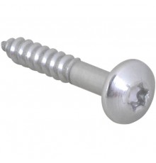 Шуруп Walraven BIS RapidRail Torx TX30 6x40мм (61843640)