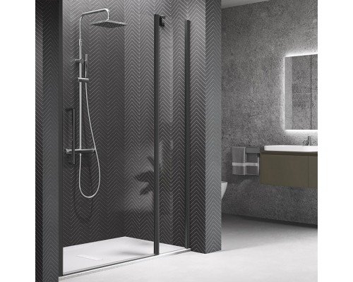 Novellini Young Душевая дверь правая/левая 117-121х200см., для ниши, распашная с неподвижным сегментом, стекло, цвет: черный. Y22P117-1H