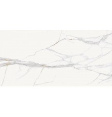 Керамогранит Staro Soul White Carving 60x120