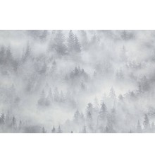 Обои Home color My Forest HC71960-14