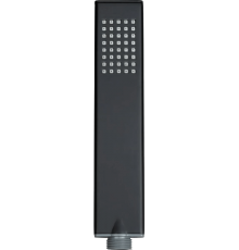 Душевая лейка Allen Brau Infinity 5.21022-31 черная