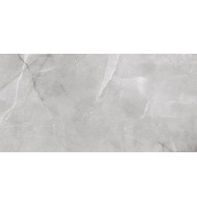 Керамогранит ABSOLUT GRES Armani Silver 60x120 полированный