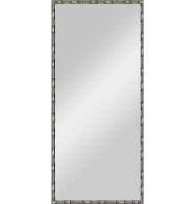 Зеркало Evoform Definite BY 0762 67x147 серебряный бамбук