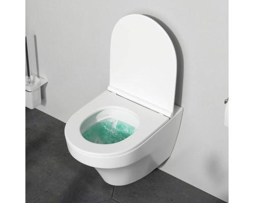 C501700WH Унитаз подвесной безободковый FlashClean, без сиденья C501700WH Унитаз подвесной безободковый FlashClean, без сиденья
