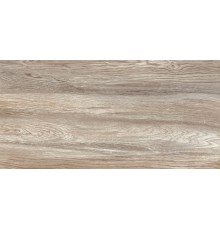 Плитка настенная AltaCera Detroit Wood глянцевая 24,9х50