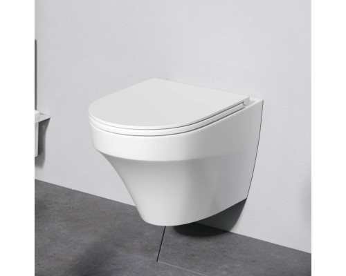 C501700WH Унитаз подвесной безободковый FlashClean, без сиденья C501700WH Унитаз подвесной безободковый FlashClean, без сиденья