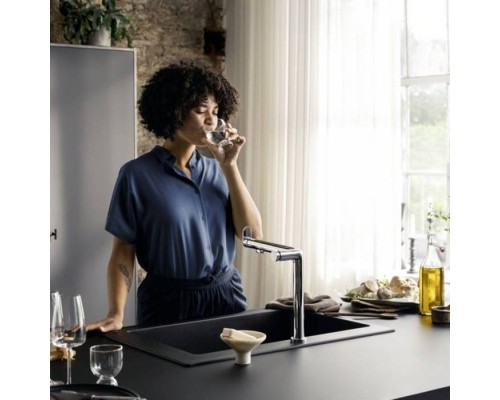 Hansgrohe Aqittura Смеситель для кухни, 1 отв., FilterSystem, цвет: хром Hansgrohe Aqittura Смеситель для кухни, 1 отв., FilterSystem, цвет: хром
