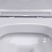 DX86C1700SC Унитаз подвесной безободковый, с сиденьем микролифт