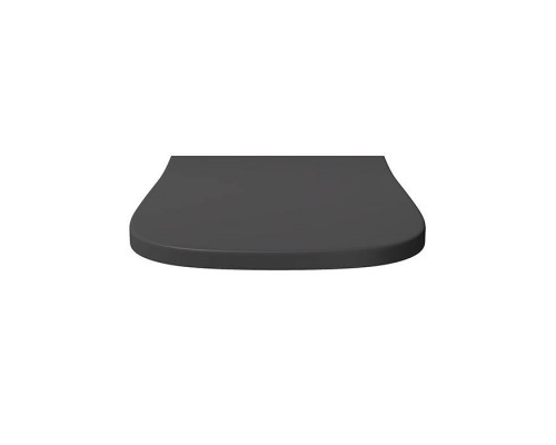 Alice Wunder Сиденье с крышкой для унитаза Wunder, с микролифтом, цвет: чёрный матовый/хром. MC4508S