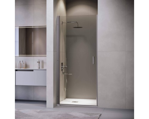Душевая дверь в нишу RGW Leipzig LE-003-Gg 900х1950 профиль серый, стекло прозрачное