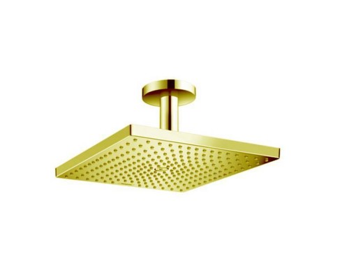 Hansgrohe Raindance Верхний душ, 300х300мм, 1 jet, потолочный держателем, цвет: золото. 26250990 Hansgrohe Raindance Верхний душ, 300х300мм, 1 jet, потолочный держателем, цвет: золото. 26250990