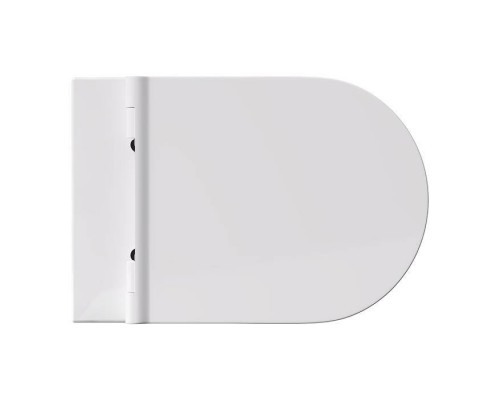 Alice Form Унитаз 50х35см., подвесной, безободковый, с сиденьем и крышкой с микролифтом, с набором для крепления, цвет: белый глянцевый. 22300101SET