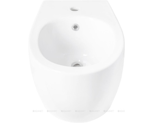 Биде подвесное Allen Brau Fantasy 4.11006.20 белый глянец