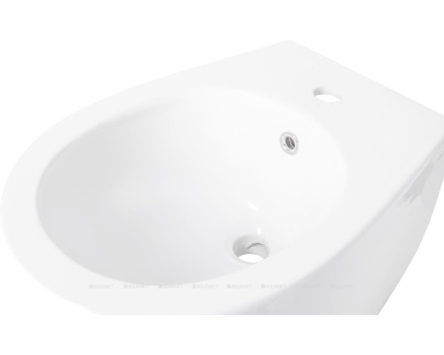 Биде подвесное Allen Brau Fantasy 4.11006.20 белый глянец