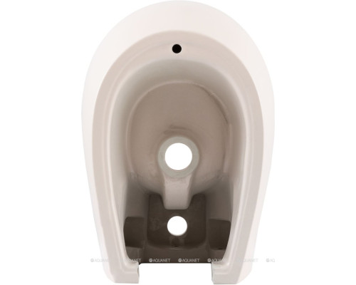 Биде подвесное Allen Brau Fantasy 4.11006.SM розовый