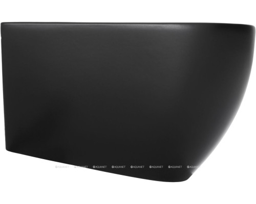 Биде подвесной Allen Brau Reality 4.32008.31 черный матовый