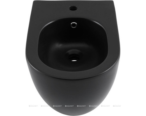 Биде подвесной Allen Brau Reality 4.32008.31 черный матовый