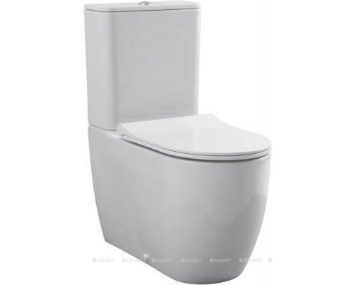 Унитаз-компакт Allen Brau Priority 4.31003.20 белый