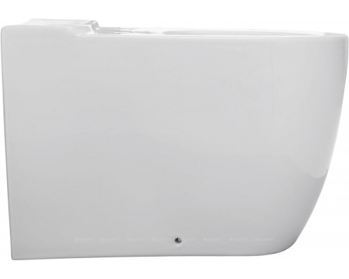 Унитаз-компакт Allen Brau Priority 4.31003.20 белый