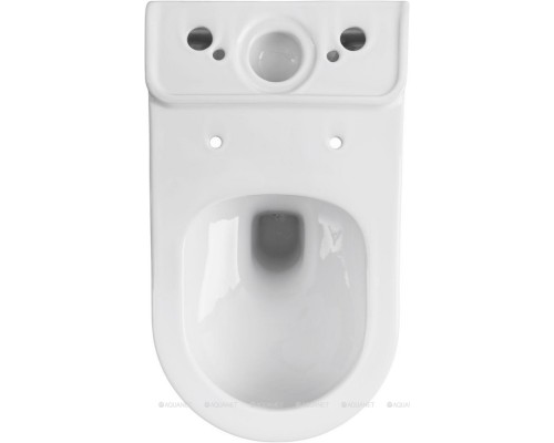 Унитаз-компакт Allen Brau Priority 4.31003.20 белый