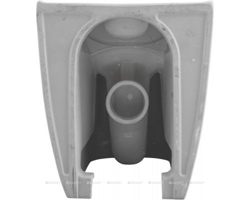 Унитаз-компакт Allen Brau Priority 4.31003.20 белый