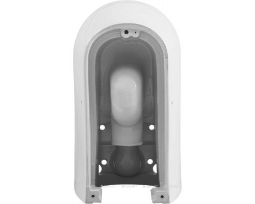 Унитаз-компакт Allen Brau Priority 4.31003.20 белый