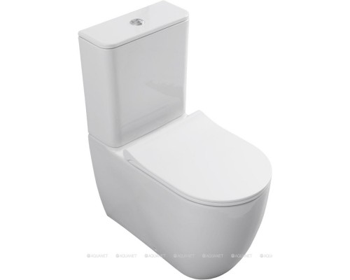 Унитаз-компакт Allen Brau Priority 4.31003.20 белый