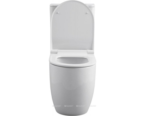 Унитаз-компакт Allen Brau Priority 4.31003.20 белый