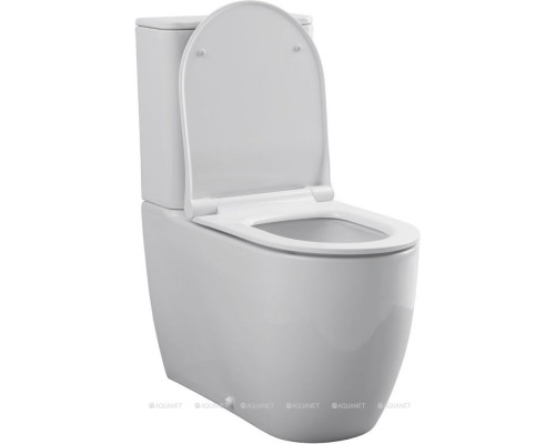 Унитаз-компакт Allen Brau Priority 4.31003.20 белый