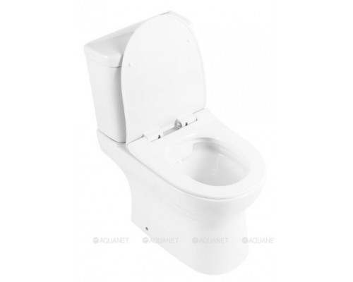 Чаша напольного унитаза BelBagno Steam BB130CPR/SC