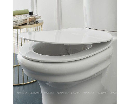 Чаша напольного унитаза Jacob Delafon Cleo 1889 UJAC102-0