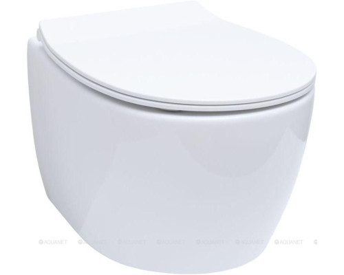 Унитаз подвесной Allen Brau Fantasy 4.11004.20 белый