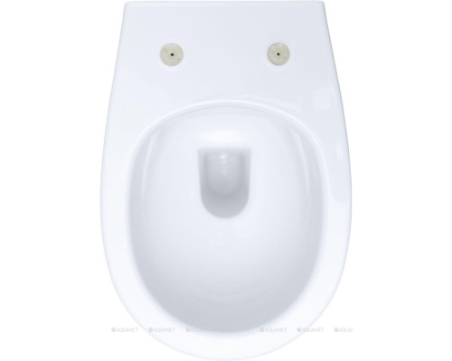 Унитаз подвесной Allen Brau Fantasy 4.11004.20 белый