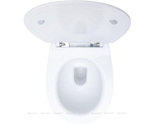 Унитаз подвесной Allen Brau Fantasy 4.11004.20 белый