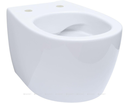 Унитаз подвесной Allen Brau Fantasy 4.11004.20 белый