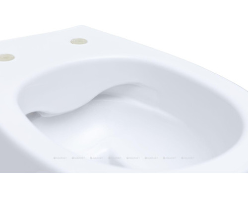 Унитаз подвесной Allen Brau Fantasy 4.11004.20 белый