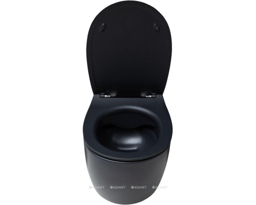 Унитаз подвесной Allen Brau Fantasy 4.11004.31 черный матовый