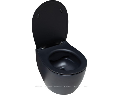 Унитаз подвесной Allen Brau Fantasy 4.11004.31 черный матовый